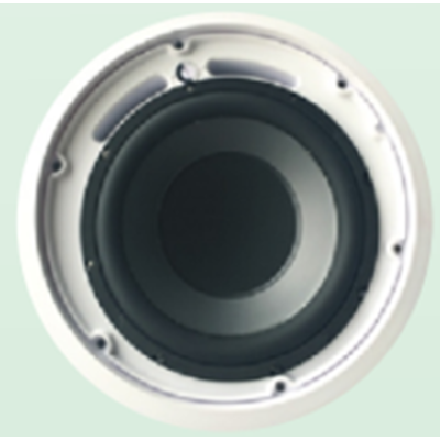 吸頂超低音揚(yáng)聲器 CA-10CTB