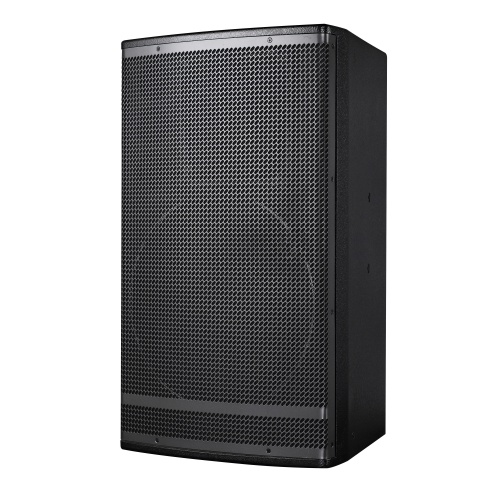 單10寸全頻揚聲器 CA-10